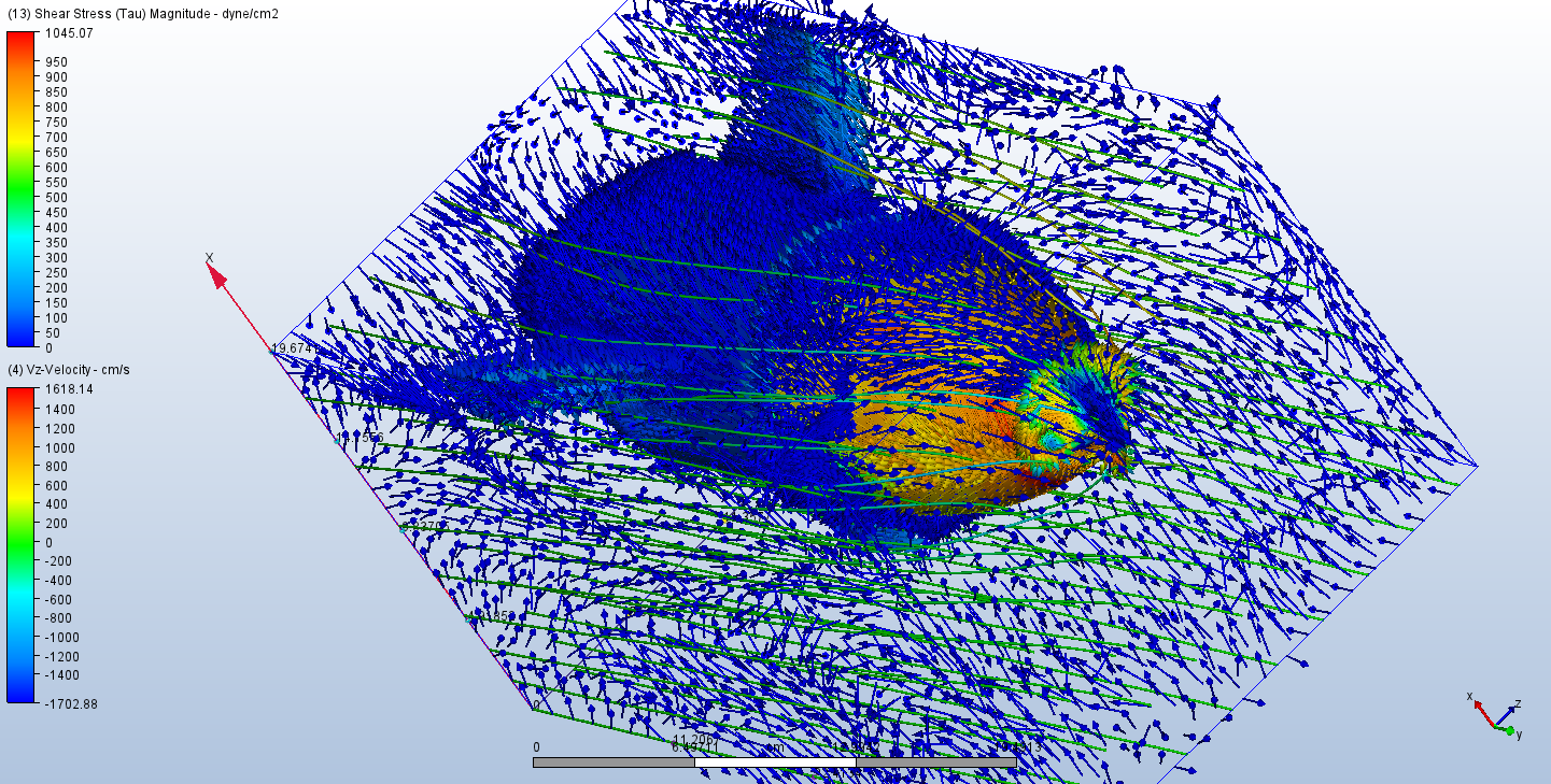 Wide Autodesk CFD shear stress field view